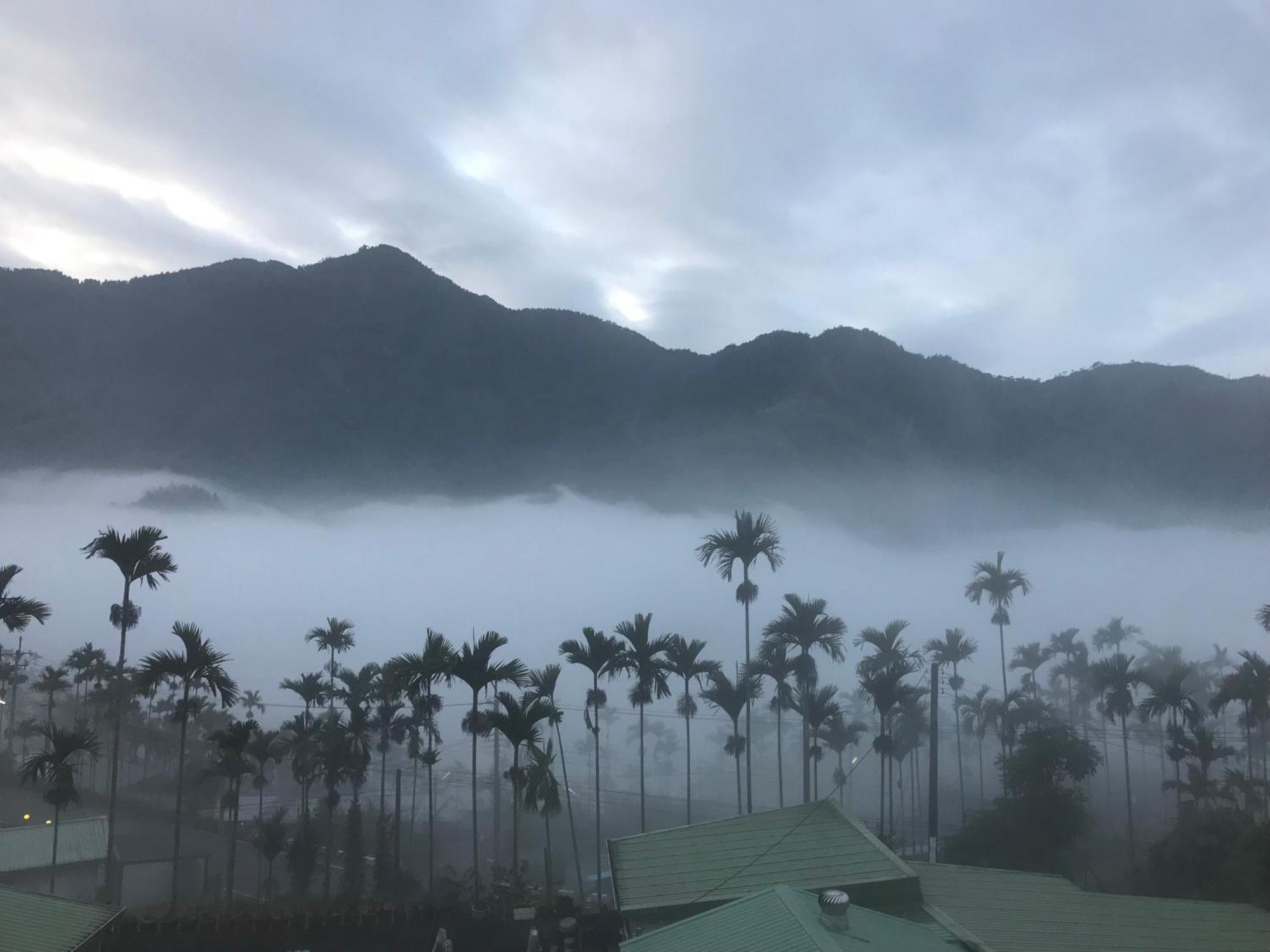 De Ren Tea Gardens Daire Meishan Dış mekan fotoğraf