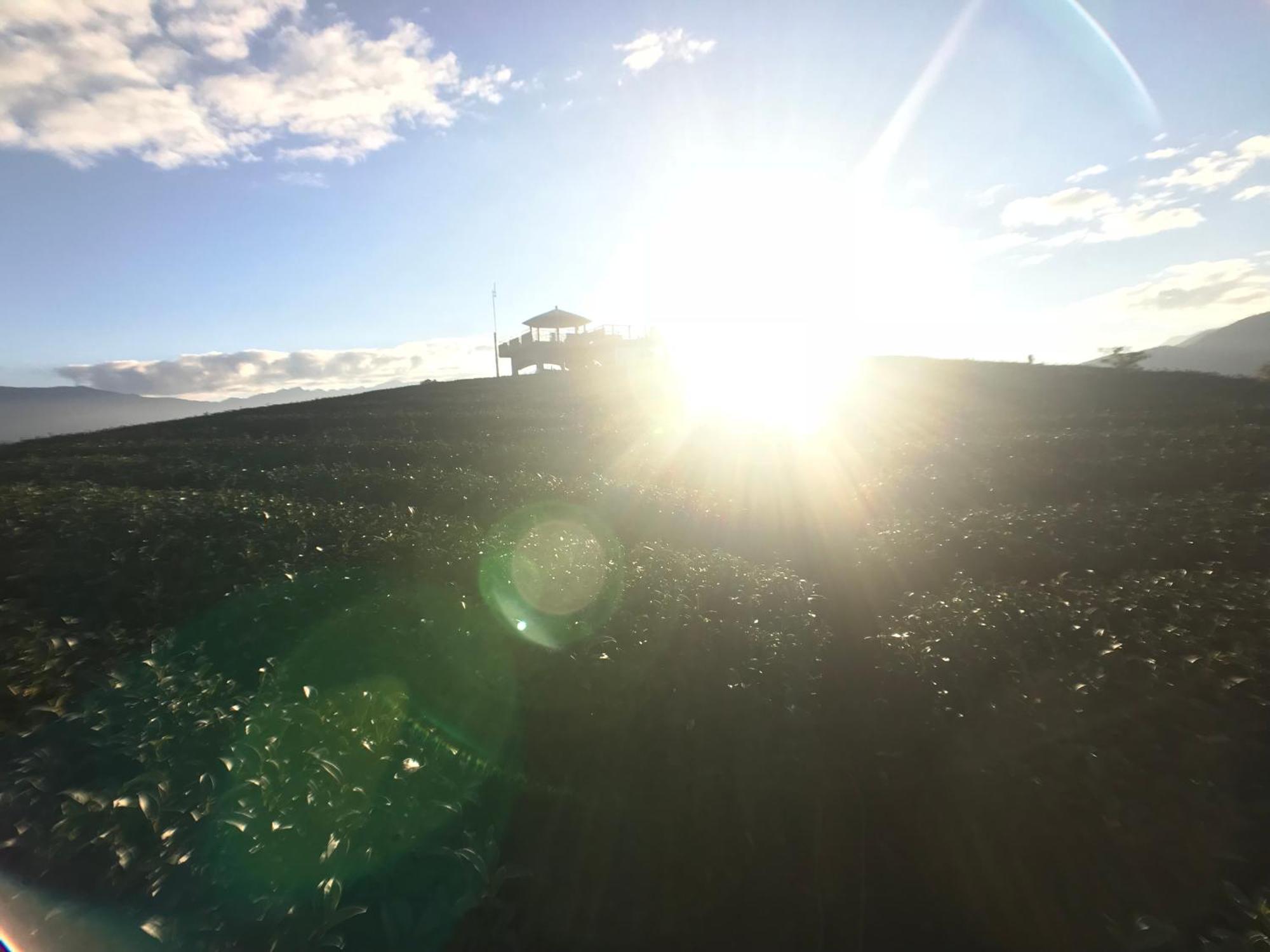 De Ren Tea Gardens Daire Meishan Dış mekan fotoğraf