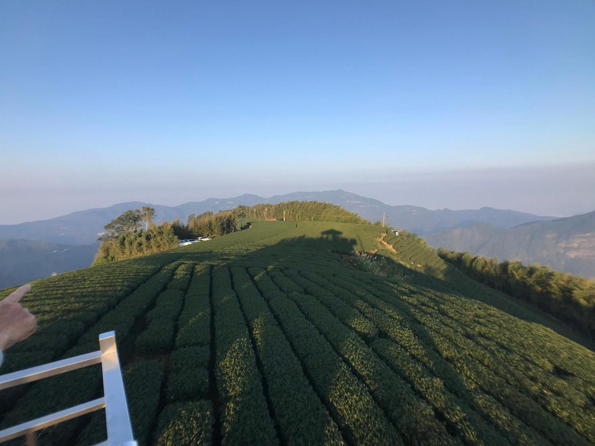 De Ren Tea Gardens Daire Meishan Dış mekan fotoğraf