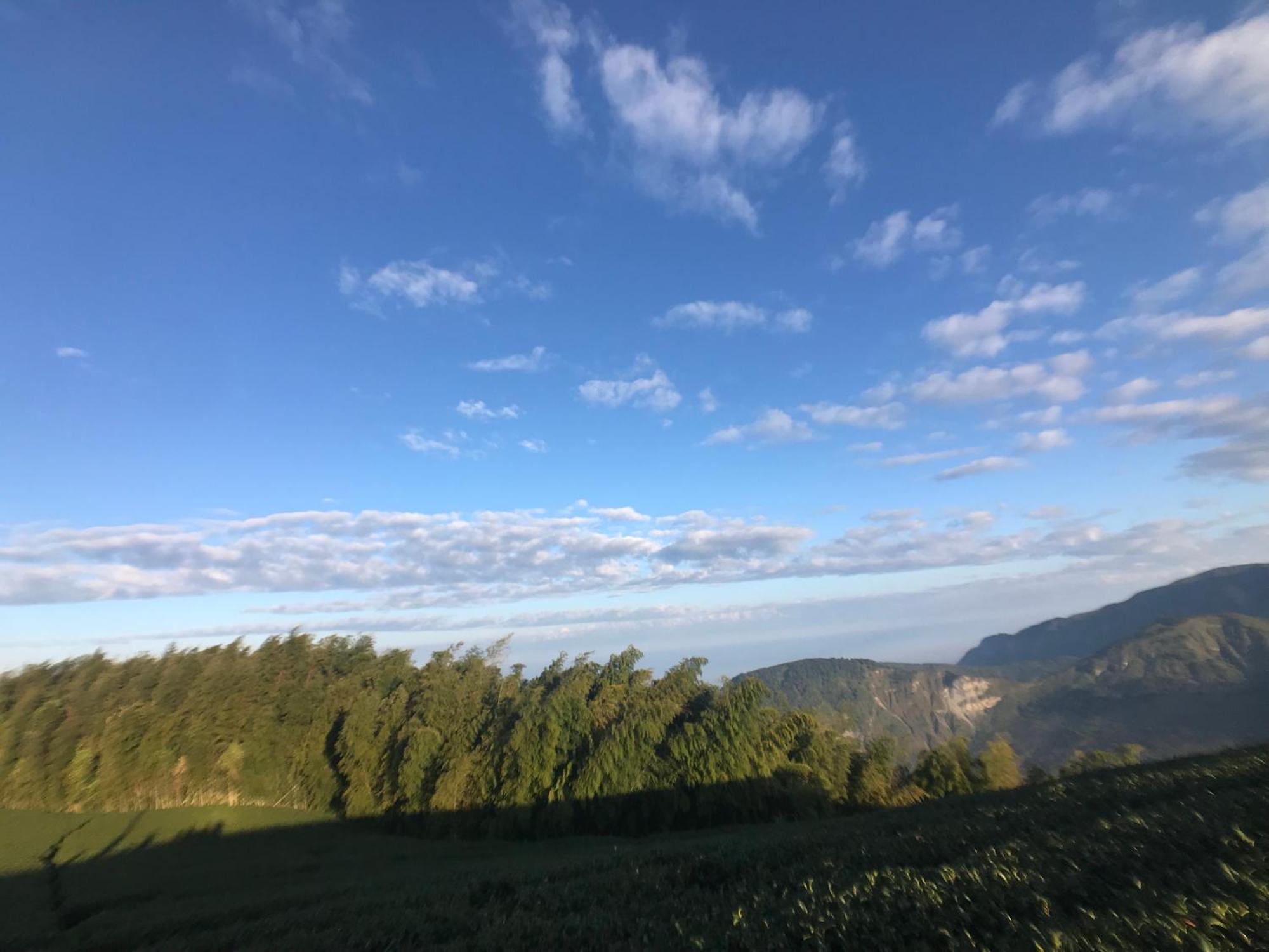 De Ren Tea Gardens Daire Meishan Dış mekan fotoğraf