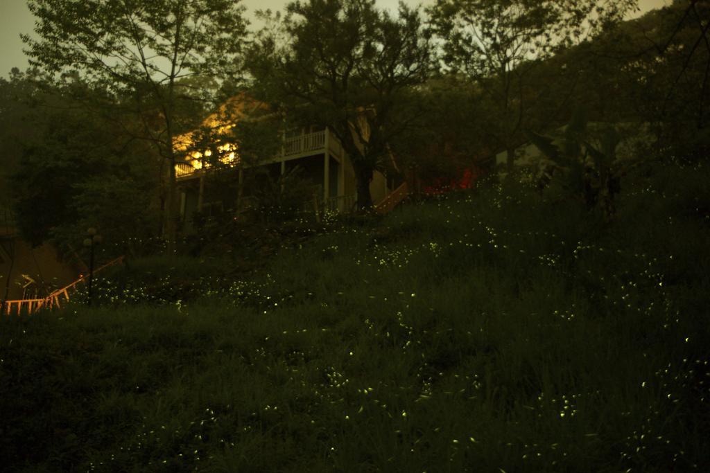 De Ren Tea Gardens Daire Meishan Dış mekan fotoğraf