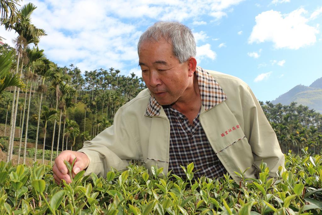 De Ren Tea Gardens Daire Meishan Dış mekan fotoğraf