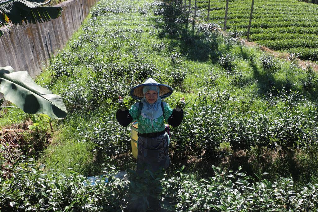 De Ren Tea Gardens Daire Meishan Dış mekan fotoğraf